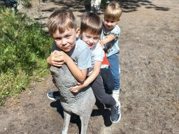 2025-05-20 Biedronki w ZOO